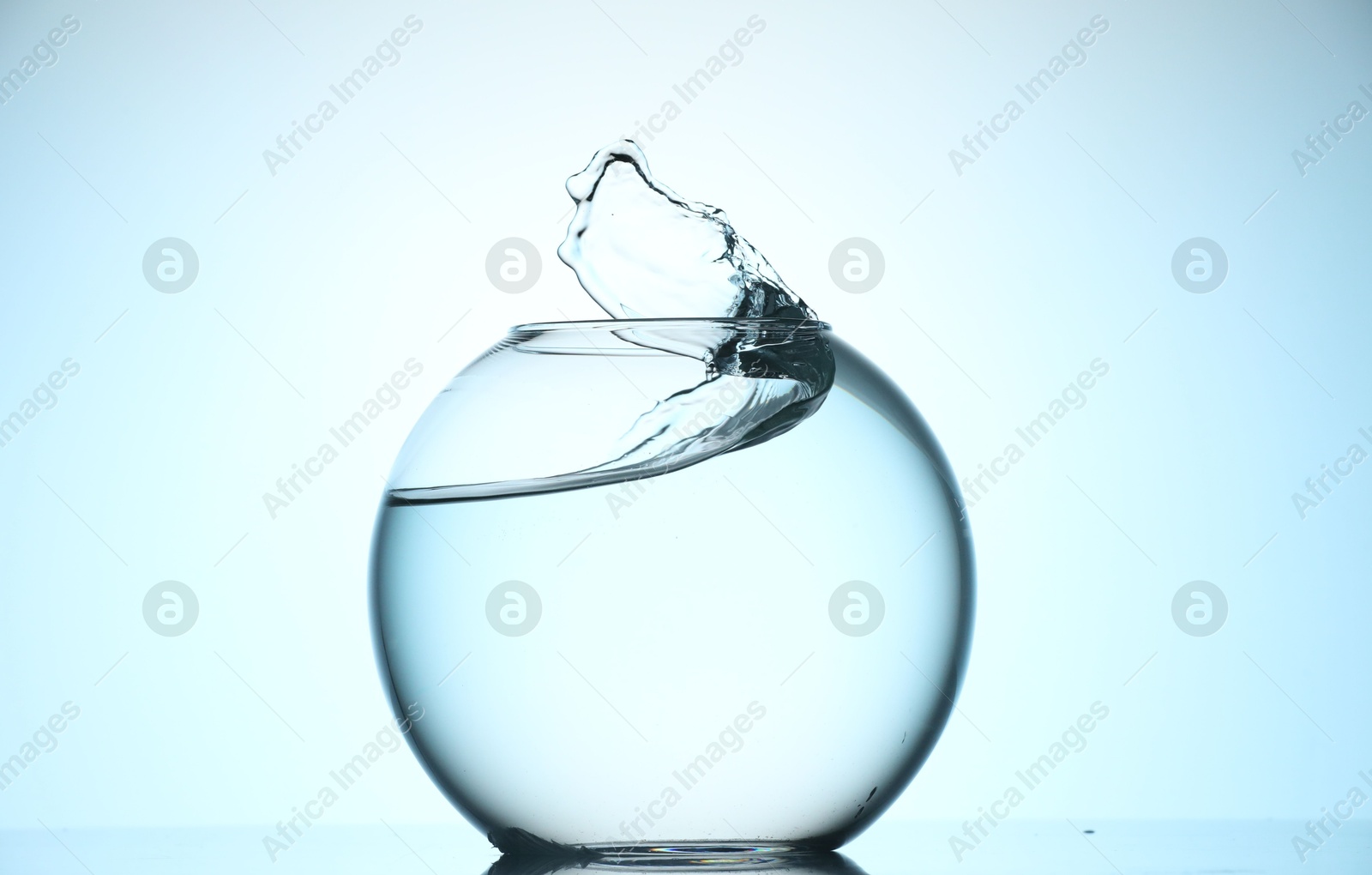 Glass aquarium with water on light blue background Photo of Glass aquarium with water on light blue background