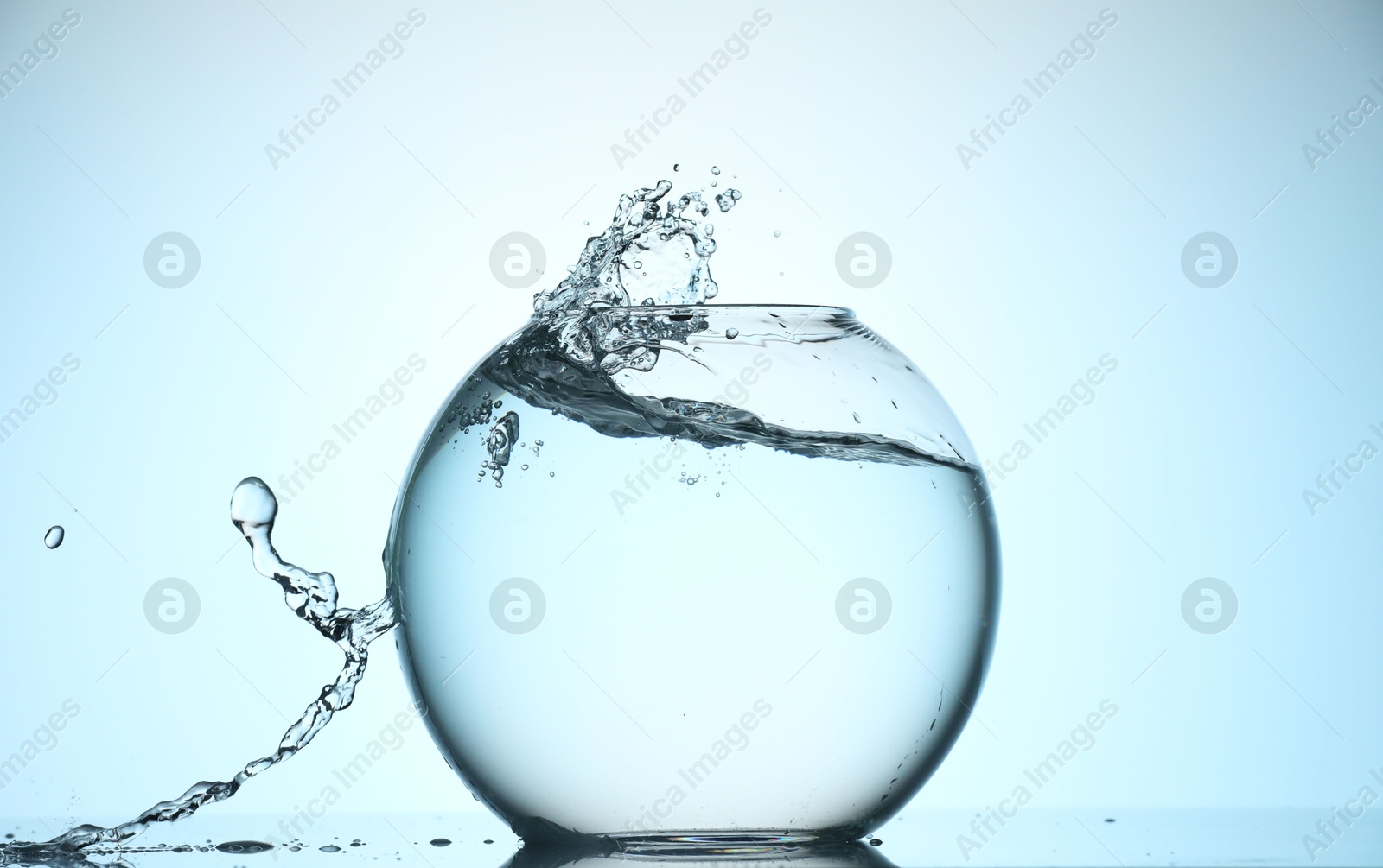 Glass aquarium with water on light blue background Photo of Glass aquarium with water on light blue background