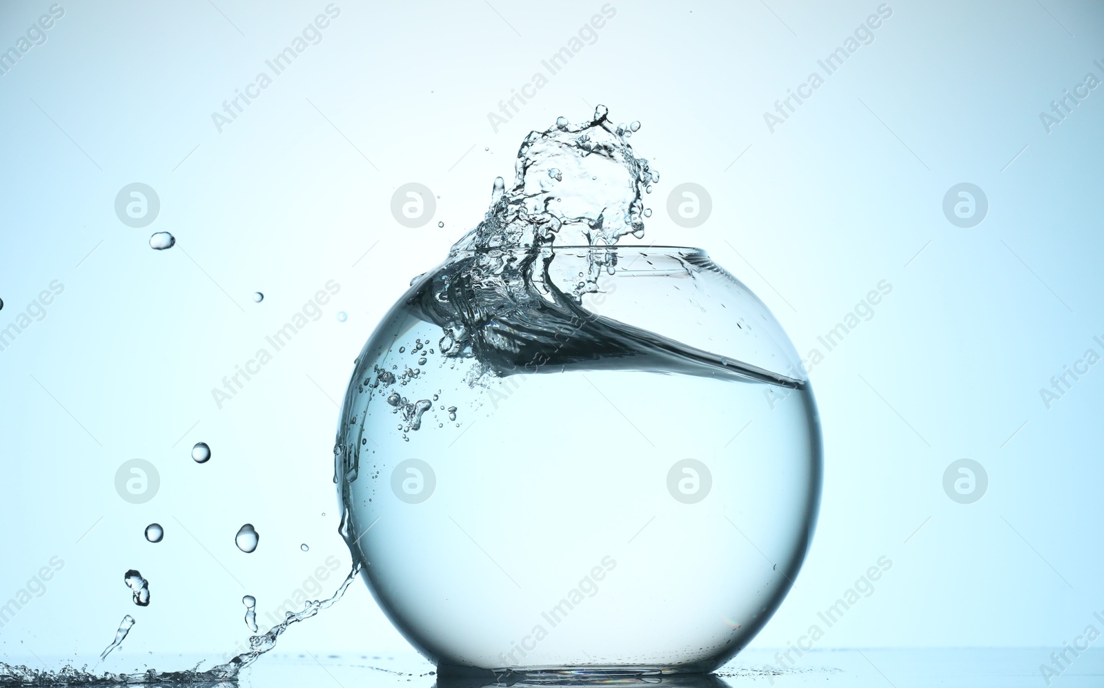 Glass aquarium with water on light blue background Photo of Glass aquarium with water on light blue background