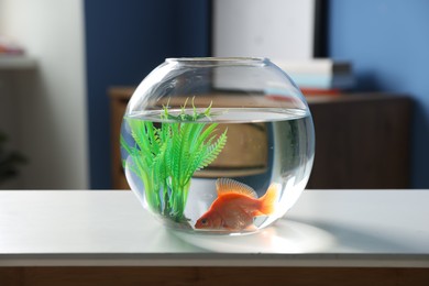 Photo of Beautiful goldfish in round aquarium on white table indoors