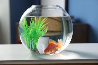 Photo of Beautiful goldfish in round aquarium on white table indoors, closeup
