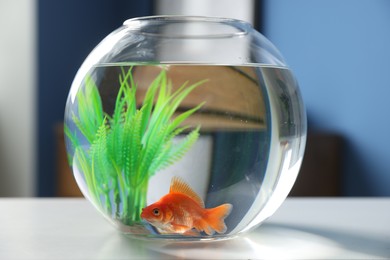 Photo of Beautiful goldfish in round aquarium on white table indoors, closeup