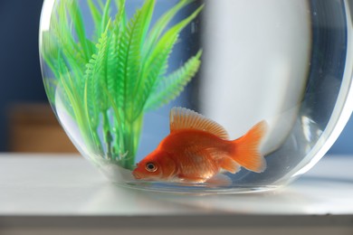 Photo of Beautiful goldfish in round aquarium on white table indoors, closeup