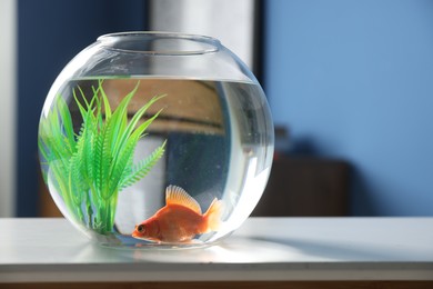 Photo of Beautiful goldfish in round aquarium on white table indoors. Space for text