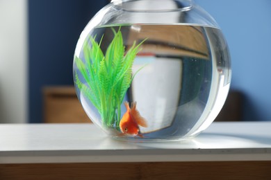 Photo of Beautiful goldfish in round aquarium on white table indoors, closeup