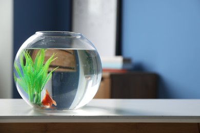 Photo of Beautiful goldfish in round aquarium on white table indoors. Space for text