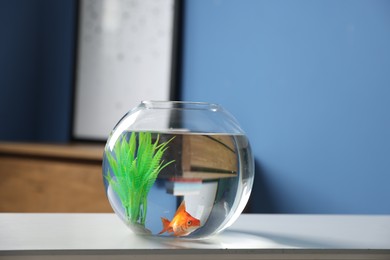 Photo of Beautiful goldfish in round aquarium on white table indoors