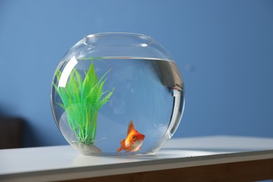 Photo of Beautiful goldfish in round aquarium on white table indoors