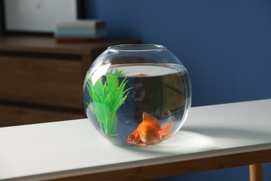 Photo of Beautiful goldfish in round aquarium on white table indoors