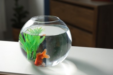 Photo of Beautiful goldfish in round aquarium on white table indoors. Space for text