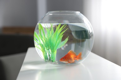 Photo of Beautiful goldfish in round aquarium on white table indoors