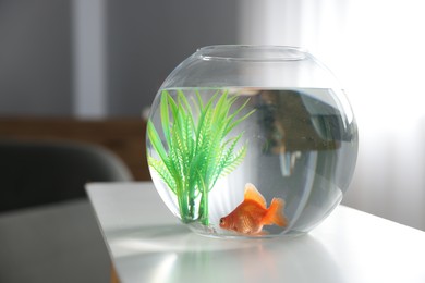 Photo of Beautiful goldfish in round aquarium on white table indoors