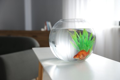 Photo of Beautiful goldfish in round aquarium on white table indoors. Space for text