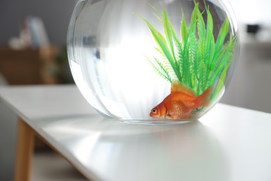 Photo of Beautiful goldfish in round aquarium on white table indoors, closeup