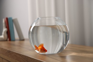 Photo of Beautiful goldfish in round aquarium on wooden table indoors