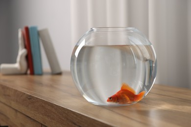 Photo of Beautiful goldfish in round aquarium on wooden table indoors