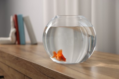 Photo of Beautiful goldfish in round aquarium on wooden table indoors