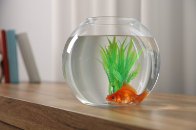 Photo of Beautiful goldfish in round aquarium on wooden table indoors