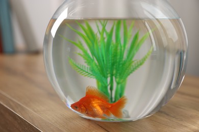 Photo of Beautiful goldfish in round aquarium on wooden table indoors, closeup