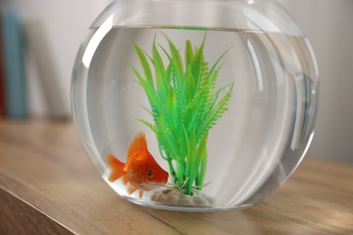 Photo of Beautiful goldfish in round aquarium on wooden table indoors, closeup