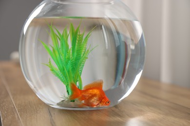Photo of Beautiful goldfish in round aquarium on wooden table indoors, closeup