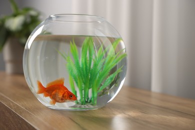 Photo of Beautiful goldfish in round aquarium on wooden table indoors, closeup