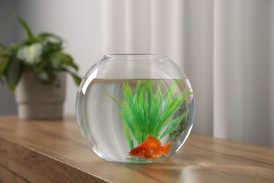 Photo of Beautiful goldfish in round aquarium on wooden table indoors