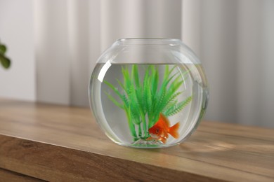 Photo of Beautiful goldfish in round aquarium on wooden table indoors