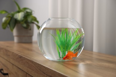 Photo of Beautiful goldfish in round aquarium on wooden table indoors