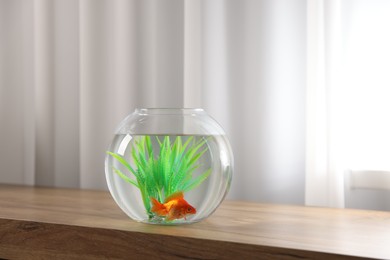 Photo of Beautiful goldfish in round aquarium on wooden table indoors. Space for text