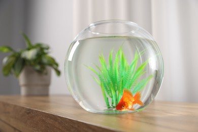 Photo of Beautiful goldfish in round aquarium on wooden table indoors
