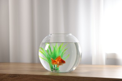 Photo of Beautiful goldfish in round aquarium on wooden table indoors. Space for text