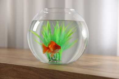 Photo of Beautiful goldfish in round aquarium on wooden table indoors