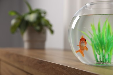 Photo of Beautiful goldfish in round aquarium on wooden table indoors, closeup. Space for text