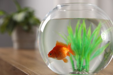 Photo of Beautiful goldfish in round aquarium on wooden table indoors, closeup