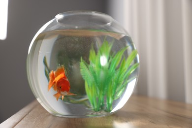 Photo of Beautiful goldfish in round aquarium on wooden table indoors, closeup