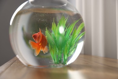 Photo of Beautiful goldfish in round aquarium on wooden table indoors, closeup