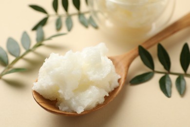 Photo of Shea butter and leaves on beige background, closeup