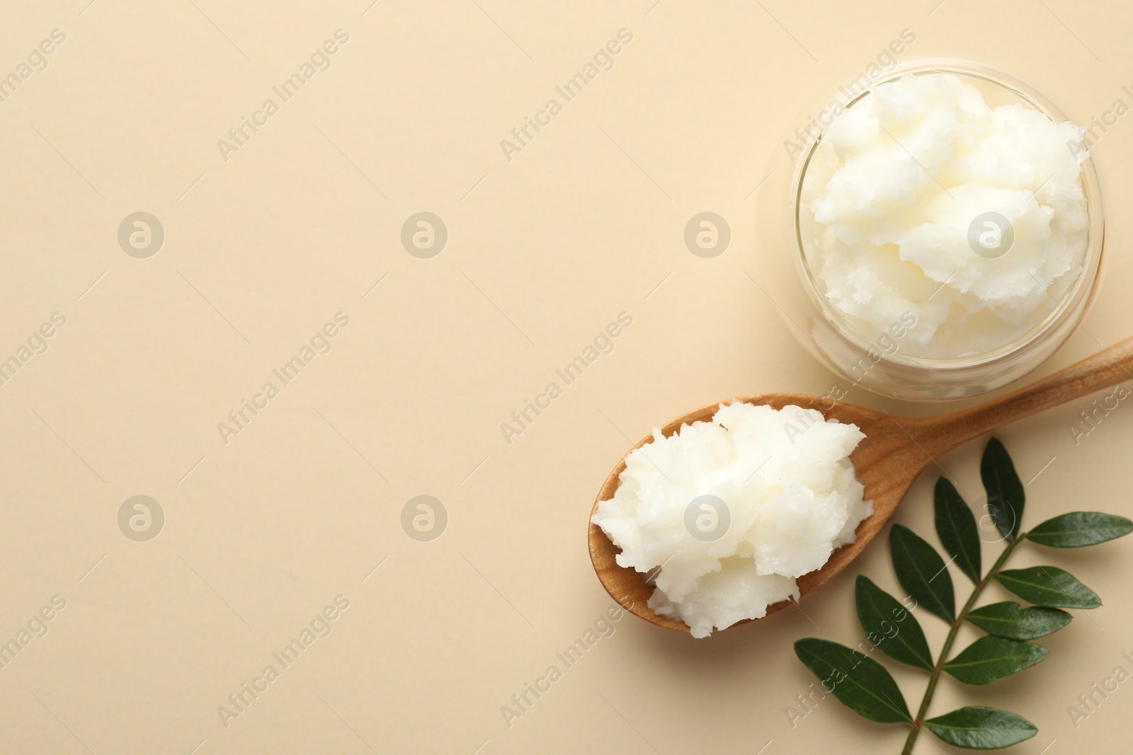 Shea butter and leaves on beige background, flat lay. Space for text Photo of Shea butter and leaves on beige background, flat lay. Space for text