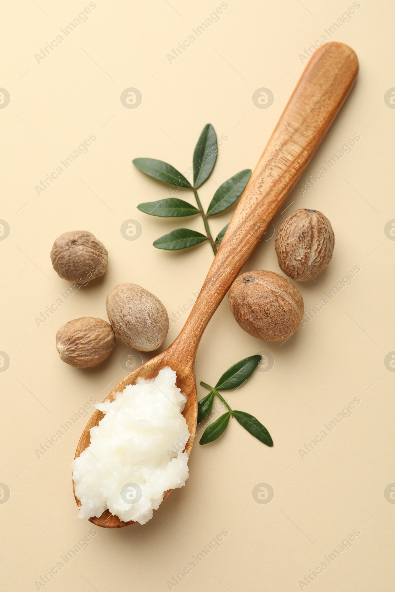 She butter, nuts and leaves on beige background, flat lay Photo of She butter, nuts and leaves on beige background, flat lay