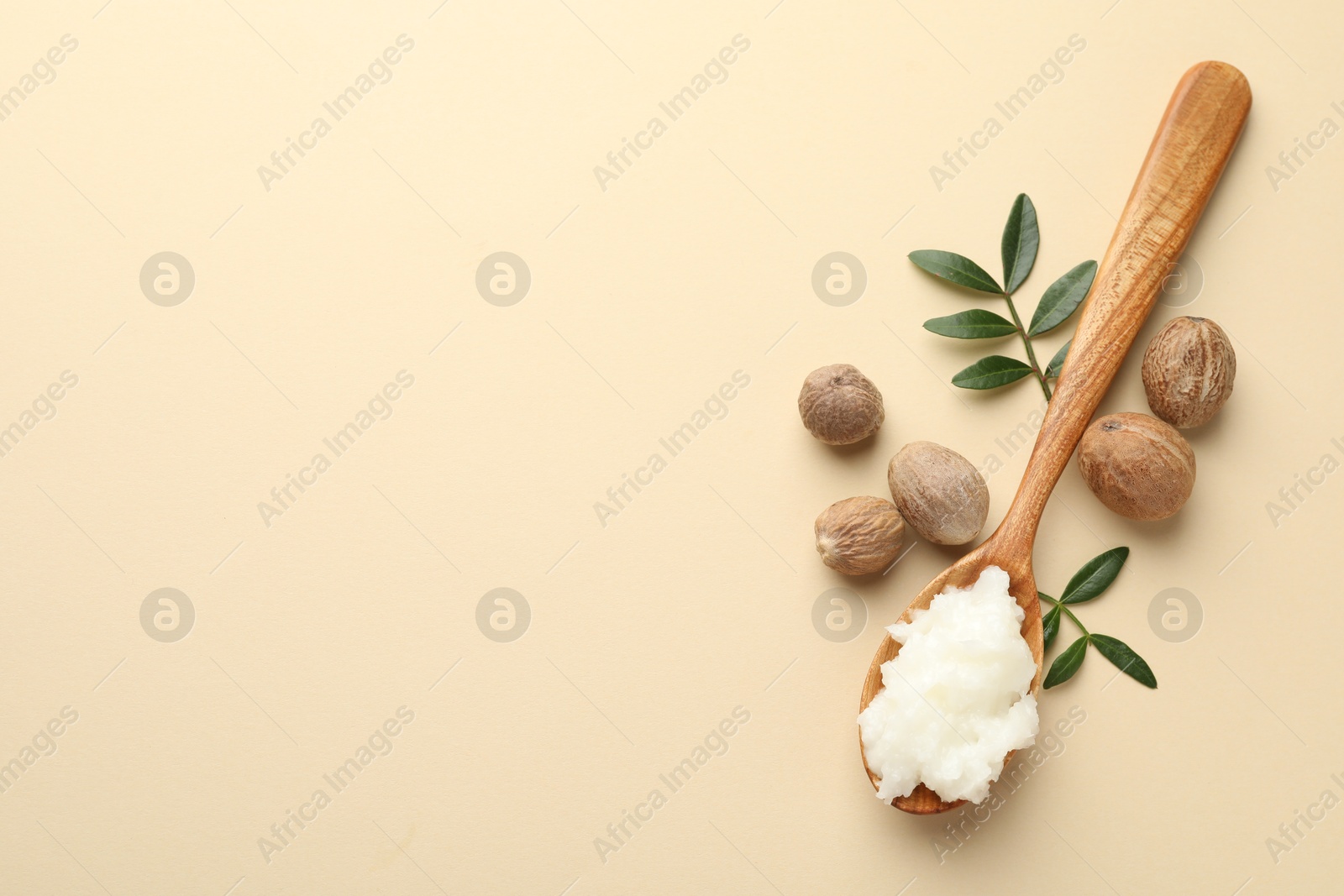 She butter, nuts and leaves on beige background, flat lay. Space for text Photo of She butter, nuts and leaves on beige background, flat lay. Space for text