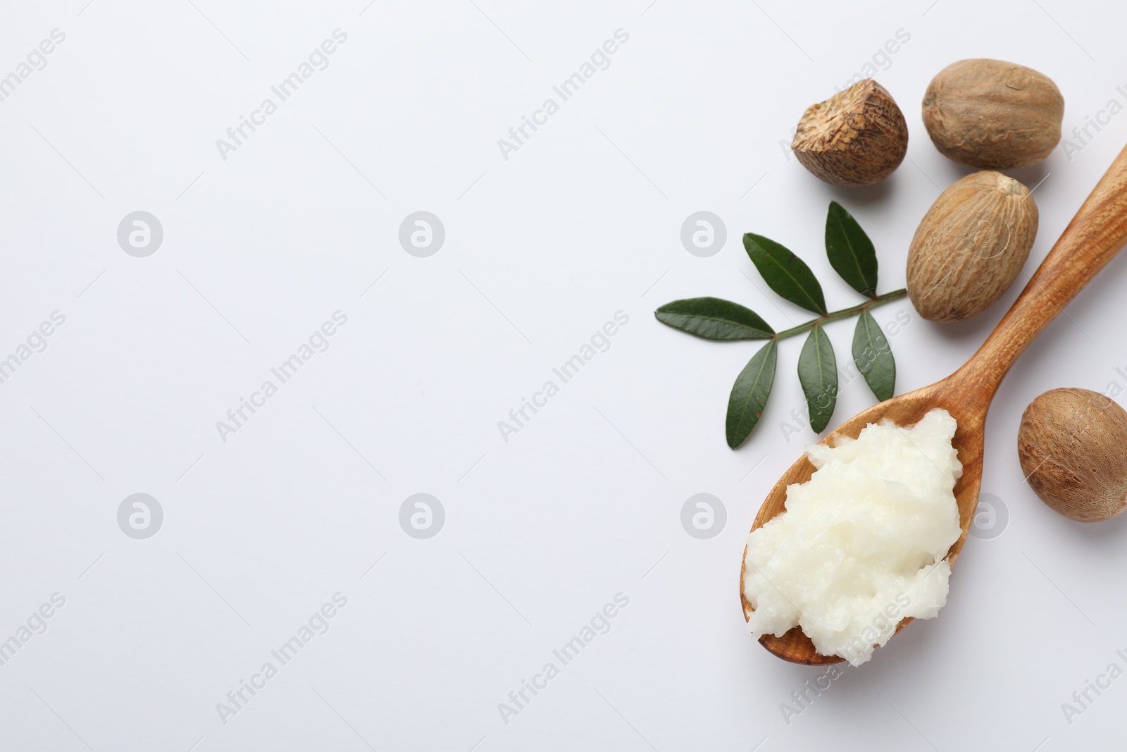 Shea butter, nuts and leaves on white background, flat lay. Space for text Photo of Shea butter, nuts and leaves on white background, flat lay. Space for text