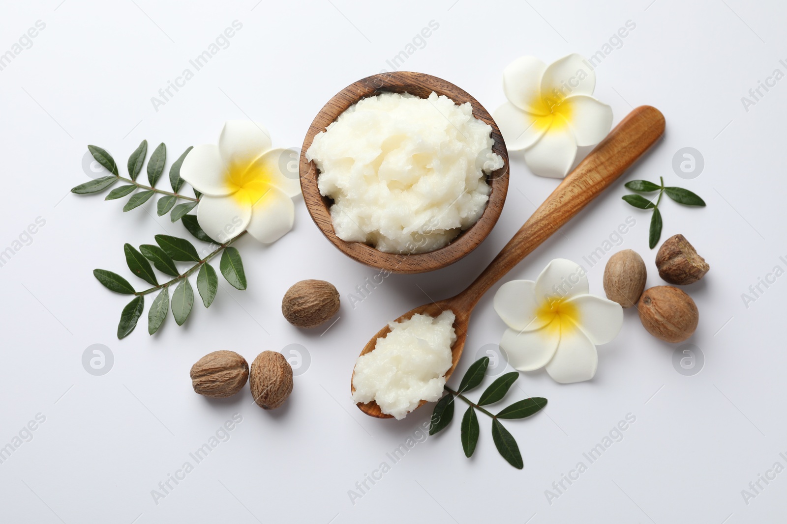 Shea butter, nuts, plumeria flowers and leaves on white background, flat lay Photo of Shea butter, nuts, plumeria flowers and leaves on white background, flat lay