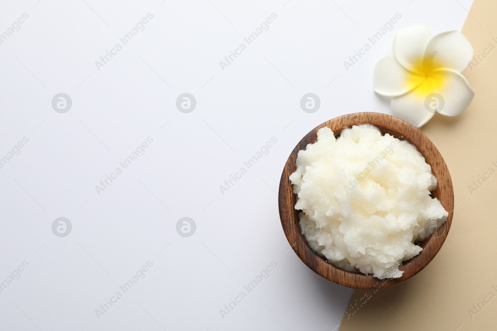 Shea butter and plumeria flower on color background, top view. Space for text Photo of Shea butter and plumeria flower on color background, top view. Space for text
