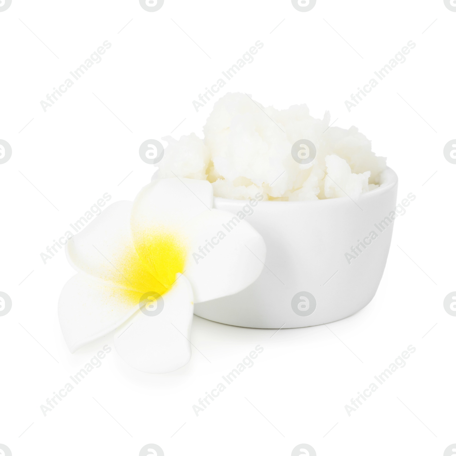 Shea butter and plumeria flower isolated on white Photo of Shea butter and plumeria flower isolated on white