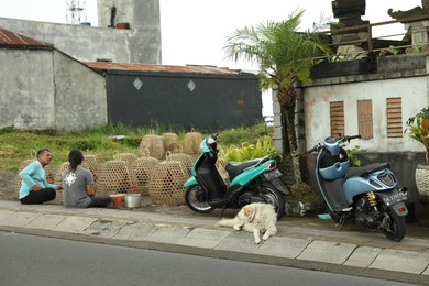 Photo of Bali, Indonesia - May 18, 2025: People with roosters in bamboo cages, dog and scooters near road