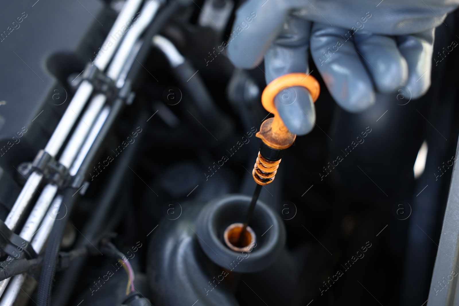 Photo of Worker checking motor oil level in car with dipstick, closeup