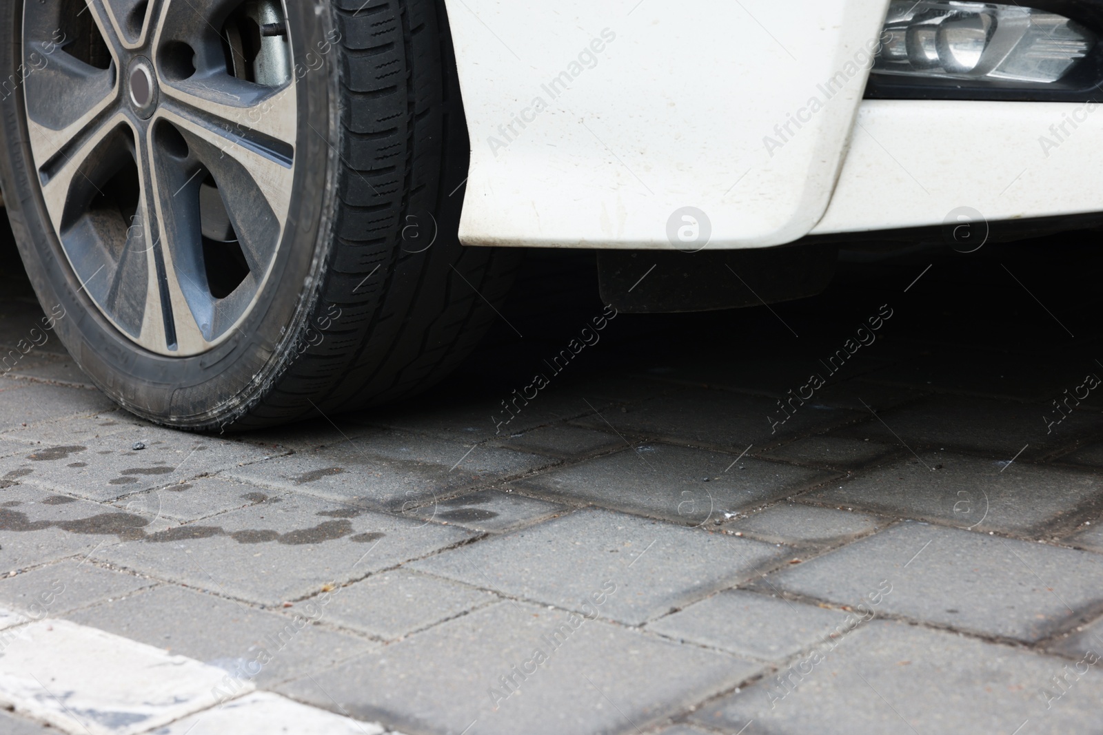 Stains of motor oil on road under car outdoors, closeup Photo of Stains of motor oil on road under car outdoors, closeup