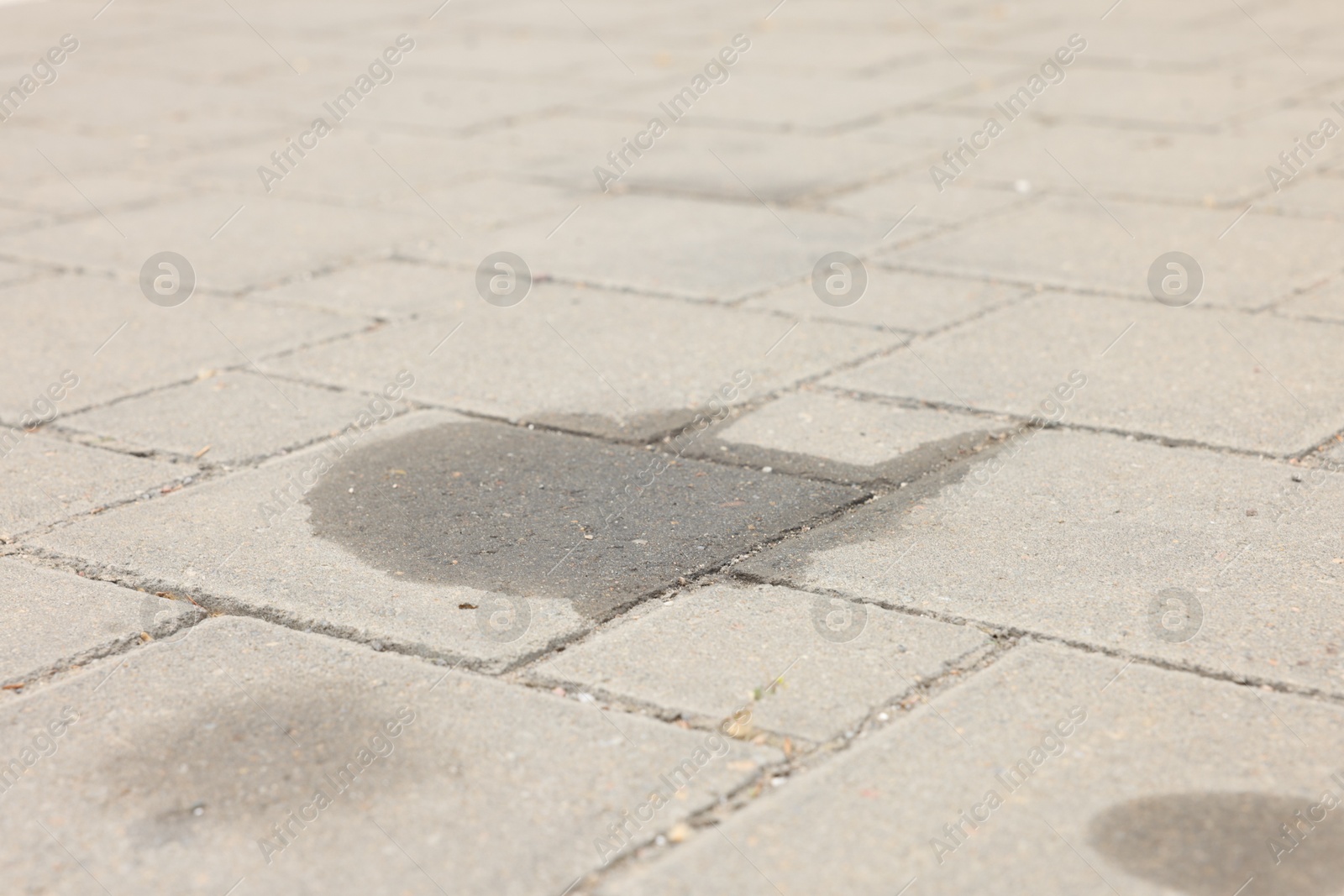 Photo of Stains of motor oil on road outdoors, closeup