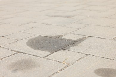Photo of Stains of motor oil on road outdoors, closeup